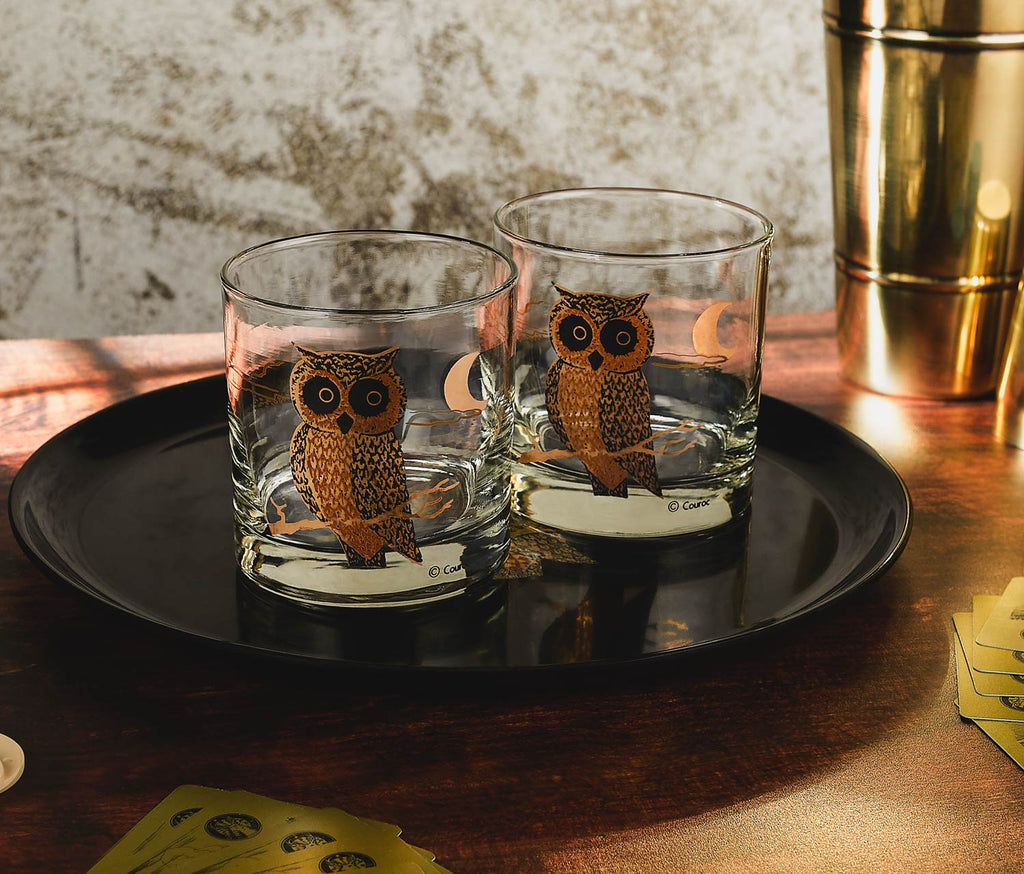 Couroc of monterey rocks glass and tray owl set- lollygag