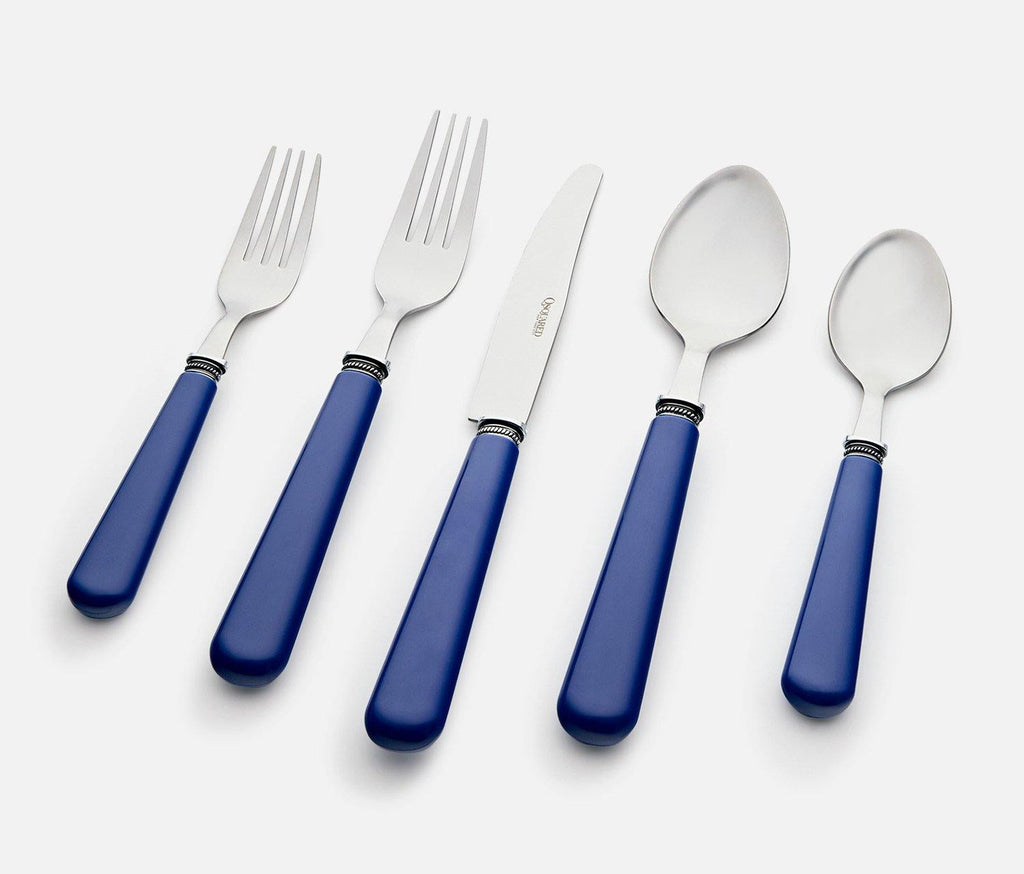 Modern Blue handle flatware set with Caddy