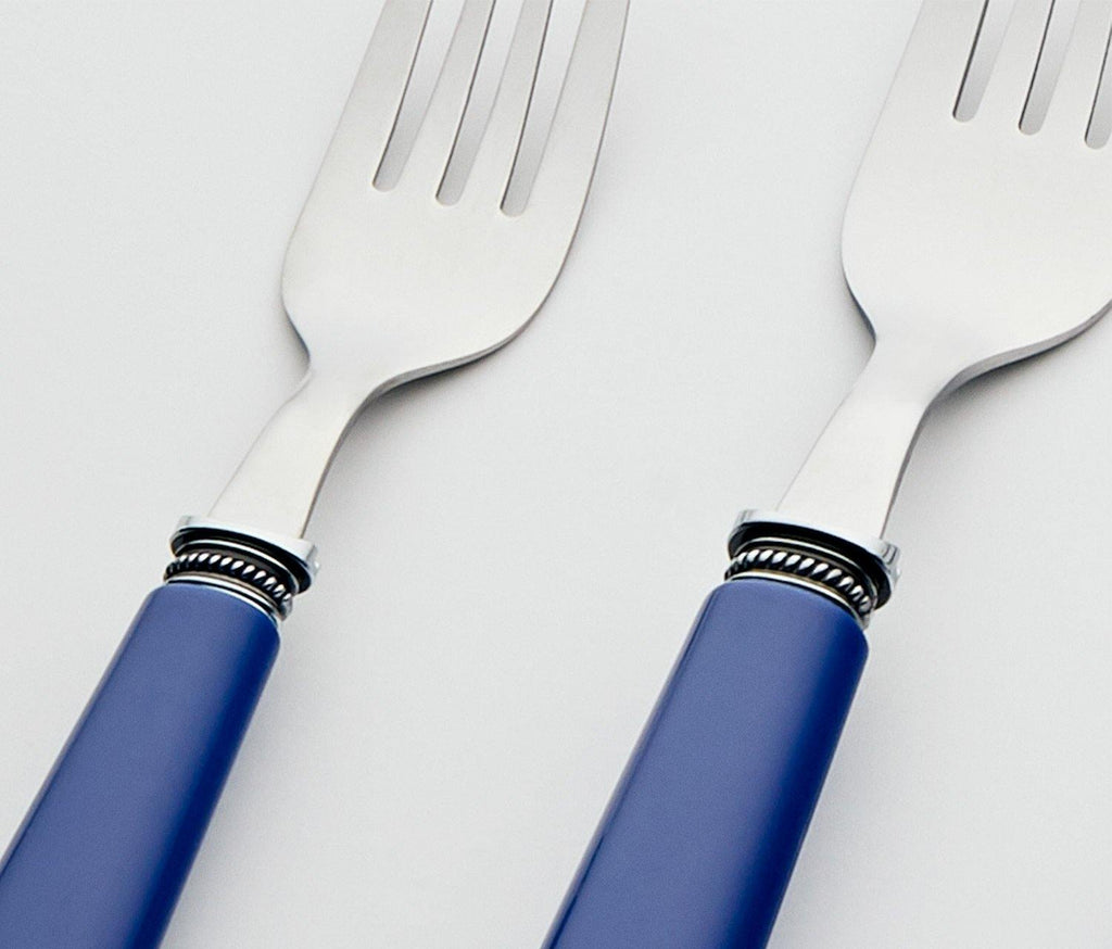 Modern Blue handle flatware set with Caddy