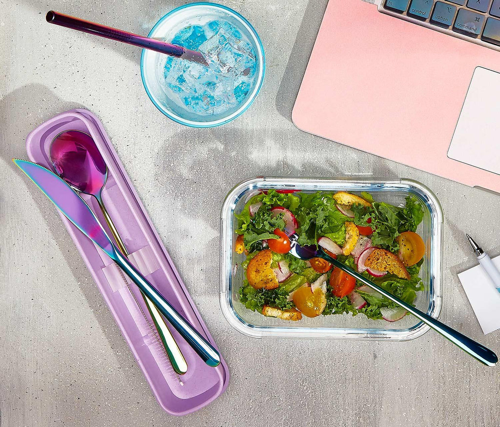 Rainbow Reusable Travel Stainless Flatware with case - lollygag